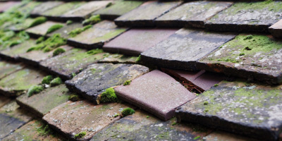 Burton On Trent roof repair costs